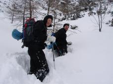 Klik za večjo sliko